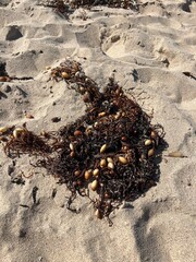 black and white texture