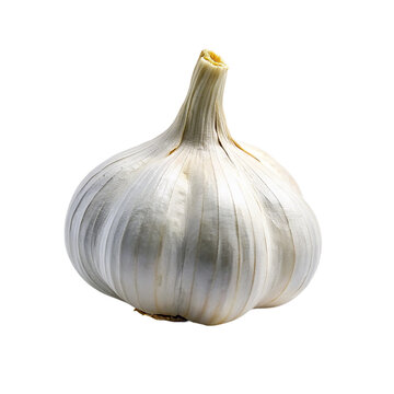 Garlic isolated on a transparent background.