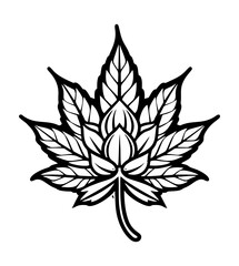 black and white illustration of a maple leaf isolated on a white background