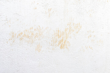 Cat footprints or paw prints stains on concrete wall. Grunge and rough surface. Background and...