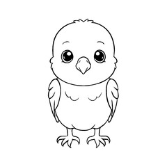 Cute Baby Budgie Animal Outline, Budgie Vector Illustration