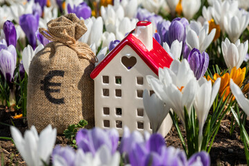 Money bag with the euro symbol and a symbolic house against the background of blooming crocus...