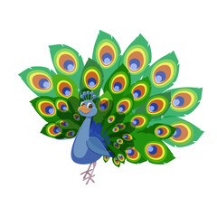 Beautiful peacock. Cartoon bird with ornamental feathers, character of nature with decorative elegant plumage
