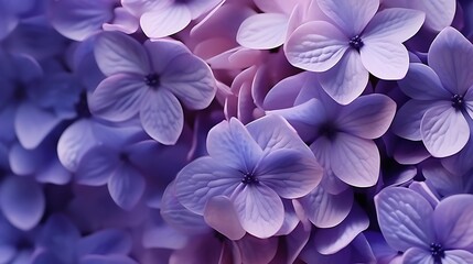 Purple flower background. 