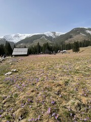 mountain hut in autumn