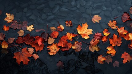 Autumn leaves floating on a serene dark water surface