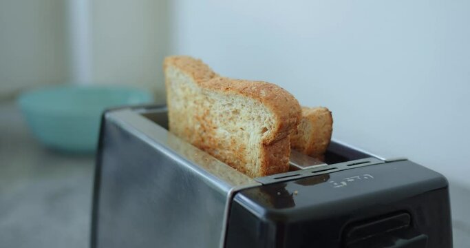 Two white bread toasts spring from toaster against bowl backdrop, showcasing art cooking. moment celebrates simplicity, joy, creativity inherent cooking, highlighting cooking making delicious meals.
