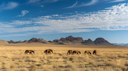 Foto op Plexiglas camels in the desert , generative ai © Mahnoor