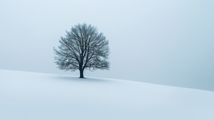 Witness the picturesque scene of a lone tree amidst a snow-covered landscape, its branches delicately dusted with snow, atop a tranquil snowy hill.