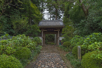 静岡 龍潭寺の山門