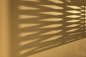 The shadow of a window grille cast on a wall