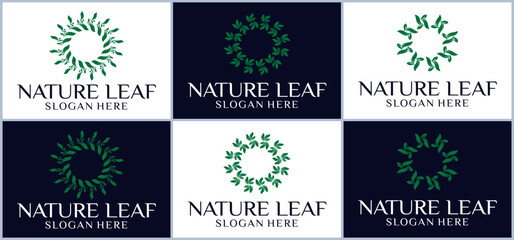 beautiful leaf design logo with green natural concept, logo for beauty and others