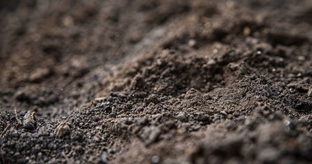 Soil sample collection for testing, close-up, cloudy day, macro lens, detail on texture. 