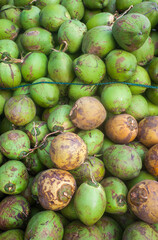 A collection of fresh green coconuts at a retail trader ready for consumption.