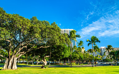 Banyan trees at Fort DeRussy Beach Park in Honolulu - Oahu Island, Hawaii