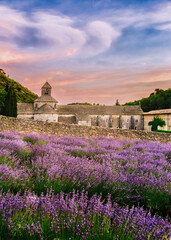 View of the landscape of the Cistercian Abbey of Senanque with lavender fields in bloom
