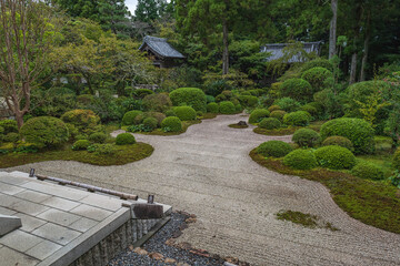 静岡 龍潭寺 本堂前庭の風景