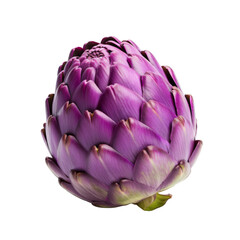 Fototapeta premium Fresh purple artichoke