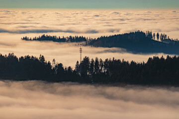 Winter view above the clouds near Kostenz, Perasdorf, Straubing-Bogen, Bavarian forest, Bavaria,...
