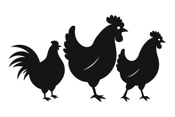 Set of chicken silhouettes on white background