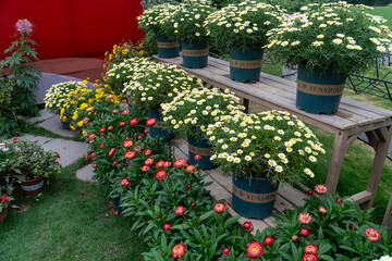 flower pots on flower stand