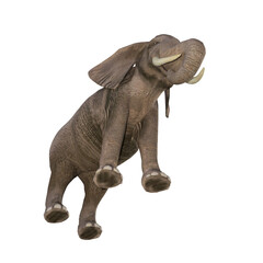 African elephant depicted in various poses and angles, pose #03. 3D model, PNG.