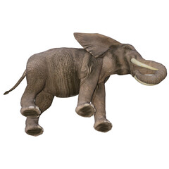 African elephant depicted in various poses and angles, pose #03. 3D model, PNG.