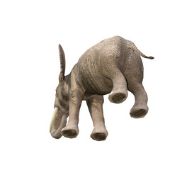 African elephant depicted in various poses and angles, pose #03. 3D model, PNG.