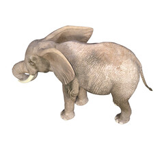 African elephant depicted in various poses and angles, pose #03. 3D model, PNG.