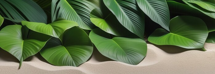 Close-up of vibrant green tropical leaves against sandy beige - obrazy, fototapety, plakaty