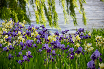 Green city park with trees, flowers, walkways.