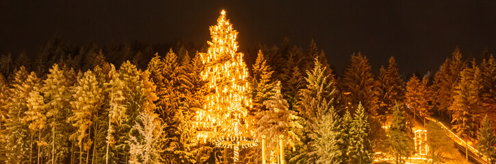 Christmas or x-mas market at night with the tallest living Christmas tree in Europe at Neukirchen,...