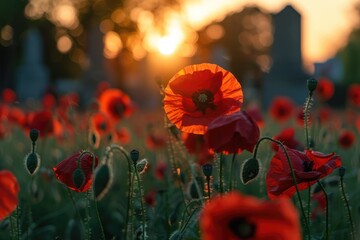 poppy field. memorial day. ai generated