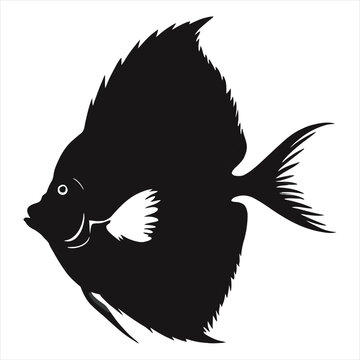 recommend clip art: Angelfish Silhouette