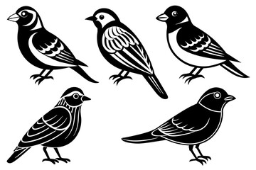 different-birds-icon-vector-illustration