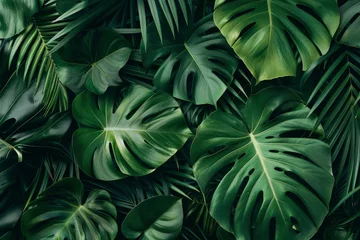 Fotobehang closeup nature view of green leaf and palms background. Flat lay, dark nature concept, tropical leaf - generative ai © Nia™