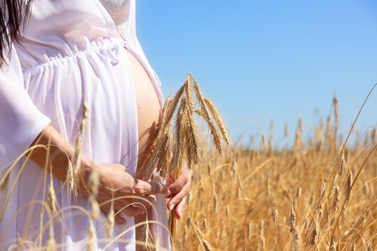 A pregnant woman in a white dress with a bundle of wheat in her hands against the background of a field with ripening wheat. The concept of motherhood and fertility.