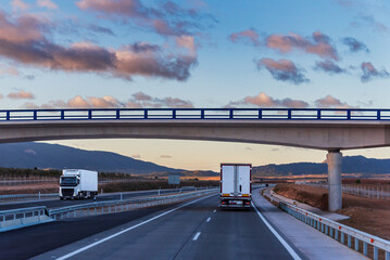 Two trucks with refrigerated semi-trailers traveling in opposite directions cross under a highway bridge, with a dawn sky.