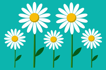 Daisy Illustration Icon 