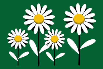 Daisy Illustration Icon 