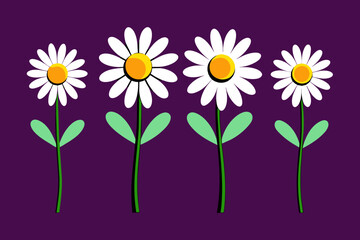 Daisy Illustration Icon 