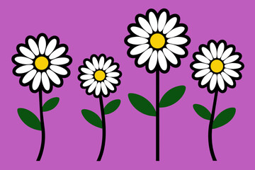 Daisy Illustration Icon 