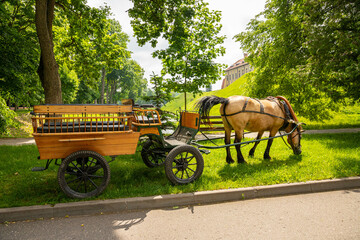 A horse harnessed to a wagon in a public park.