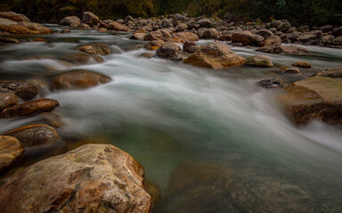 Stream in the forest 3