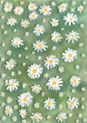 daisies on grass