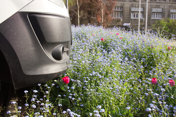 flowers in the park. a car parked in the city on a lawn with flowers, a violation of the...