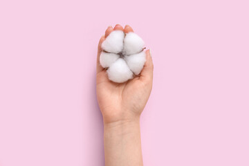 Female hand with cotton flower on pink background
