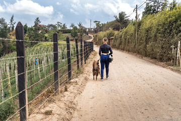 Young adult woman walking with her border collie dog along a rural road next to agricultural crops in Colombia.