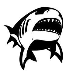 shark isolated on white