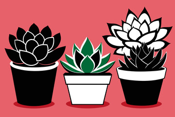 Succulent Vector vector design 